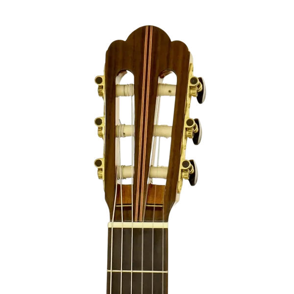 גיטרה קלאסית סוליד טופ Aria C-201 Solid Cedar Top