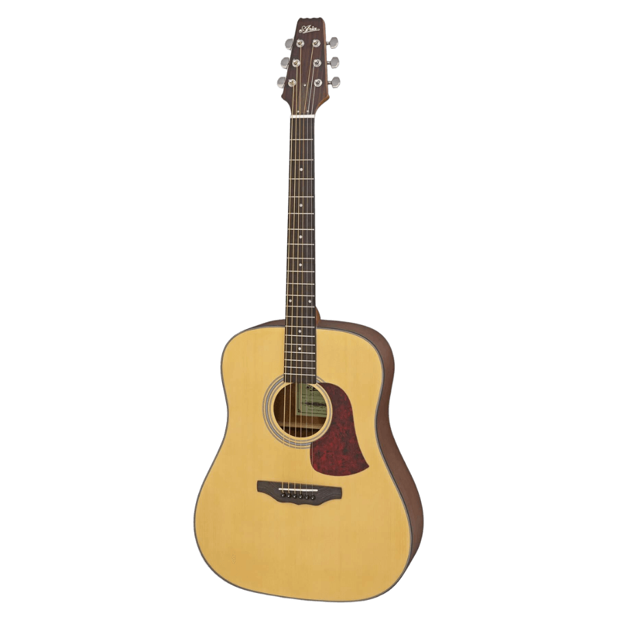 גיטרה אקוסטית Aria AD-10-MTN Matt Natural